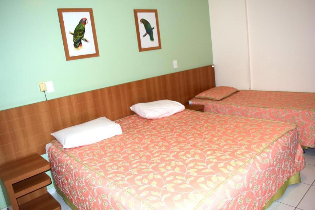 Golden Dolphin Grand Hotel - Flat كلدس نوفاس المظهر الخارجي الصورة